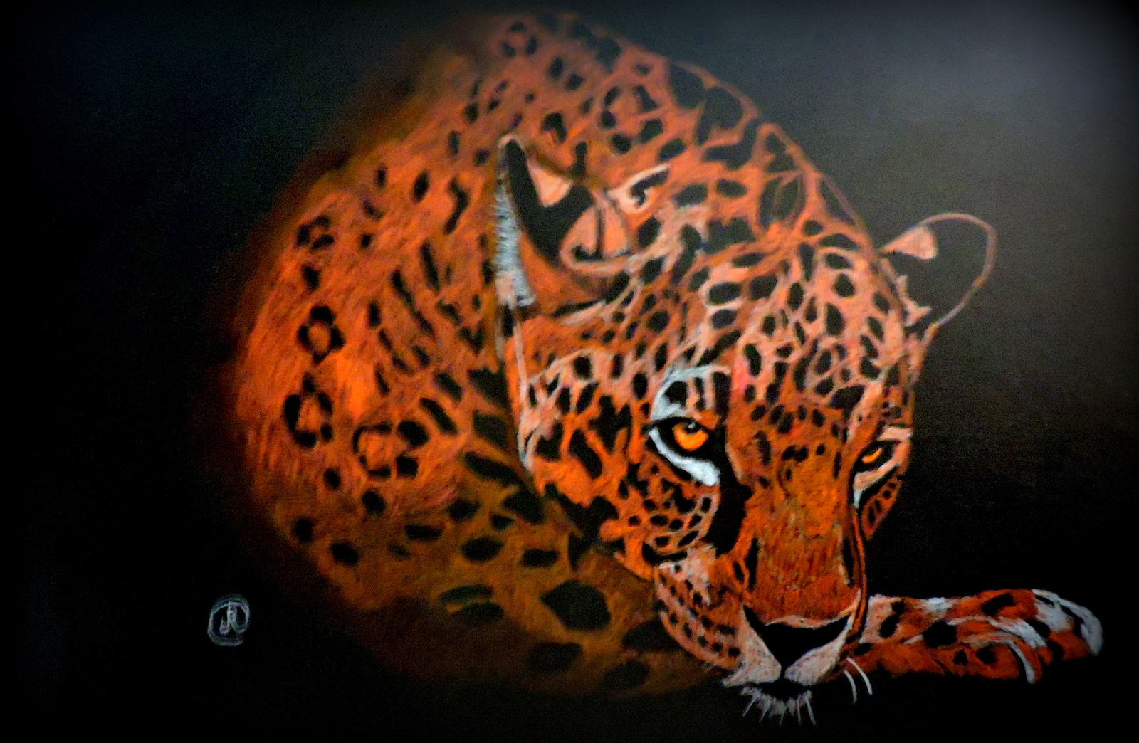 Jaguar (espèce en danger), crayons prismacolors sur papier noir, 12 x 18 pouces, Jacques Richer