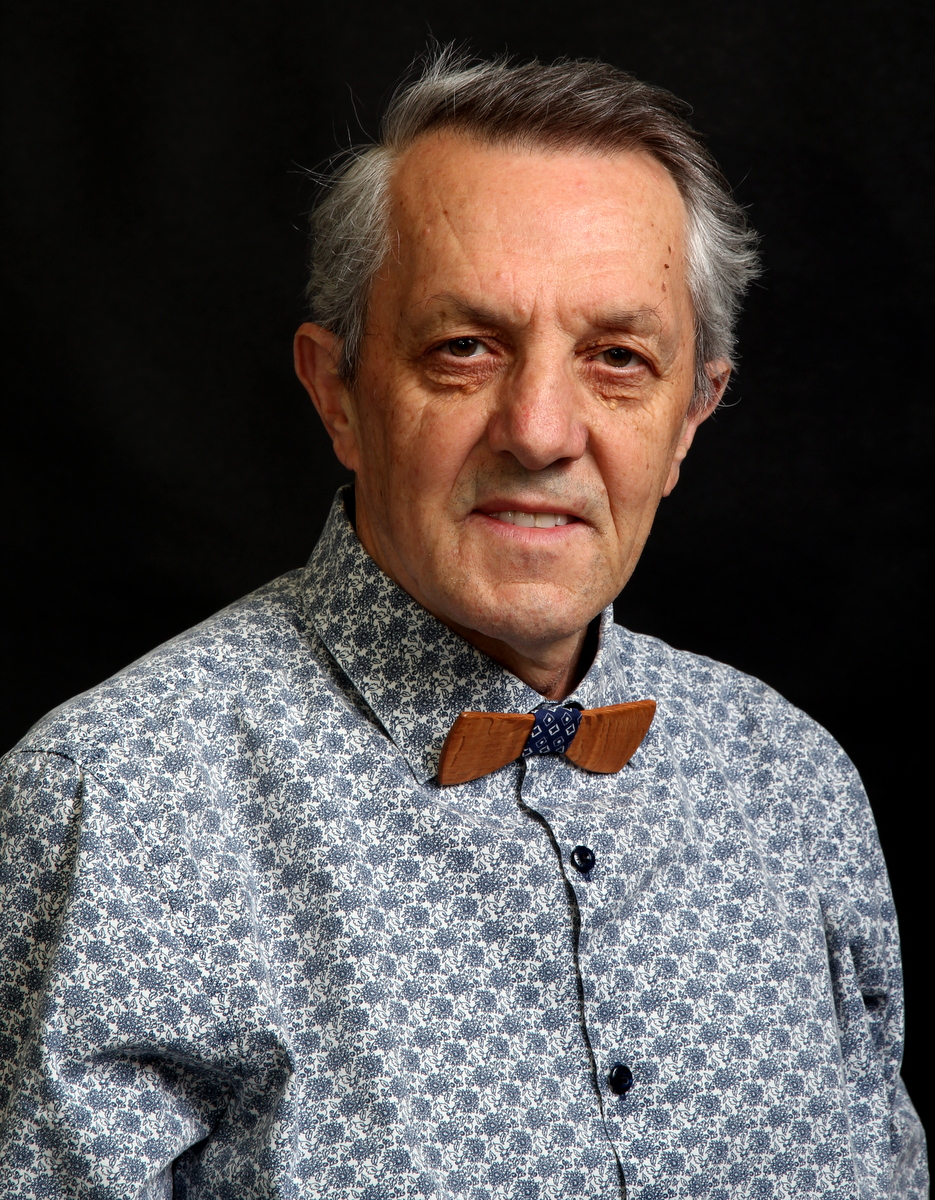 Branimir Misic
